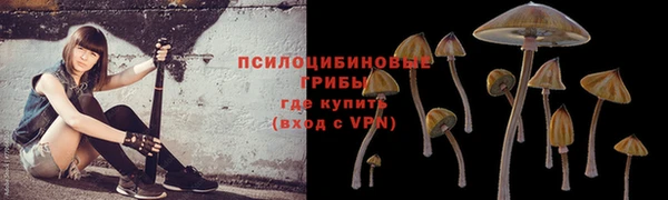винт Беломорск