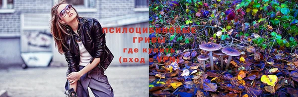 винт Беломорск