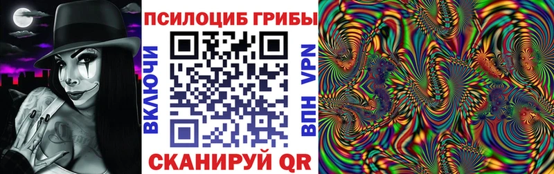 Галлюциногенные грибы Psilocybe  Верея 